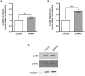Insulin-like Growth Factor Binding Protein 3 Increases Mouse Preimplantation Embryo Cleavage Rate by Activation of IGF1R and EGFR... 