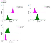 Analysis of Immunophenotypic Changes during Ex Vivo Human Erythropoiesis and Its Application in the Study of Normal and Defective... 