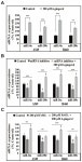 Anticancer Effects of 6-Gingerol through Downregulating Iron Transport and PD-L1 Expression in Non-Small Cell Lung Cancer Cells