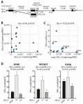 Trans-Regulation of Alternative PD-L1 mRNA Processing by CDK12 in Non-Small-Cell Lung Cancer Cells