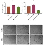 The Involvement of Hypoxia in the Response of Neuroblastoma Cells to the Exposure of Atorvastatin