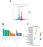 SJB2-043, a USP1 Inhibitor, Suppresses A549 Cell Proliferation, Migration, and EMT via Modulation of PI3K/AKT/mTOR, MAPK, and Wnt... 