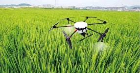 Agronomy | Special Issue : Agricultural Environment and Intelligent Plant Protection Equipment—2nd Edition Agronomy