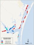 Insights into a Renowned Fishery: Distinct Spatial Patterns, Environmental Predictors and Species Associations of Trophy-Class... 