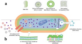 Foods | Free Full-Text | Review on Natural Preservatives for Extending Fish Shelf Life Review on Natural Preservatives for... 