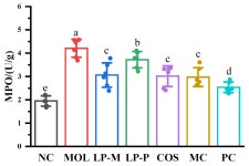 Foods | Free Full-Text | The Effects of Synbiotics on Dextran-Sodium-Sulfate-Induced Acute Colitis: The Impact of Chitosan... 