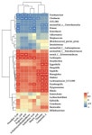 Simulated Gastrointestinal Digestion and In Vitro Fecal Fermentation of Purified Pyracantha fortuneana (Maxim.) Li Fruit Pectin