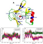 Steric Clash in the SET Domain of Histone Methyltransferase NSD1 as a Cause of Sotos Syndrome and Its Genetic Heterogeneity in a... 