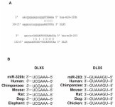 miR-203 and miR-320 Regulate Bone Morphogenetic Protein-2-Induced Osteoblast Differentiation by Targeting Distal-Less Homeobox 5... 