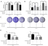 Tumor-Associated Macrophage Promotes the Survival of Cancer Cells upon Docetaxel Chemotherapy via the CSF1/CSF1R–CXCL12/CXCR4... 