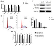 Genes | Free Full-Text | miR-152-3p Represses the Proliferation... miR-152-3p Represses the Proliferation of the Thymic... 