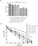 The GDAP1 p.Glu222Lys Variant-Weak Pathogenic Effect, Cumulative Effect of Weak Sequence Variants, or Synergy of Both Factors?