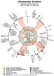 Assembly and Comparative Analysis of the Complete Mitochondrial Genome of Saussurea inversa (Asteraceae)