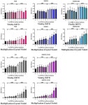 Experimental Model of Human Malignant Mesothelioma in Athymic Mice