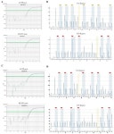 Methylation Density Pattern of KEAP1 Gene in Lung Cancer Cell Lines Detected by Quantitative Methylation Specific PCR and... 