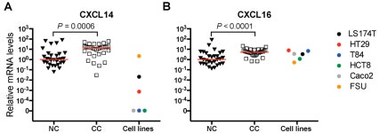 IJMS | Free Full-Text | The Chemokine CXCL16 Is a New Biomarker for Lymph Node Analysis of Colon Cancer Outcome The Chemokine... 