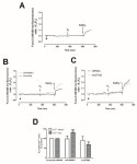 PGRMC1 Inhibits Progesterone-Evoked Proliferation and Ca2+ Entry Via STIM2 in MDA-MB-231 Cells