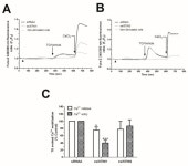 PGRMC1 Inhibits Progesterone-Evoked Proliferation and Ca2+ Entry Via STIM2 in MDA-MB-231 Cells
