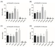 Insights into the Function and Evolution of Taste 1 Receptor Gene Family in the Carnivore Fish Gilthead Seabream (Sparus aurata)