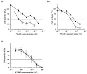 Molecular Mechanisms and Tumor Biological Aspects of 5-Fluorouracil Resistance in HCT116 Human Colorectal Cancer Cells