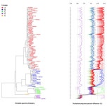 Genetic and Epigenetic Variations of HPV52 in Cervical Precancer
