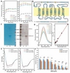 Berberine Inhibits MDA-MB-231 Cells as an Agonist of G Protein-Coupled Estrogen Receptor 1