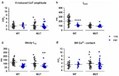 Characterization of the PLN p.Arg14del Mutation in Human Induced Pluripotent Stem Cell-Derived Cardiomyocytes