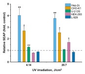 Pulsed Electric Fields Alter Expression of NF-κB Promoter-Controlled Gene