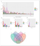 IJMS | Free Full-Text | Characteristics of Transfer RNA-Derived Fragments Expressed during Human Renal Cell Development: The Role... 