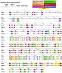 IJMS | Free Full-Text | Emerging Roles for the Orphan GPCRs, GPR37 and GPR37 L1, in Stroke Pathophysiology Emerging Roles for the... 