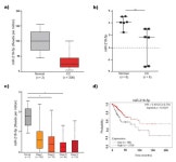 miR-218-5p/RUNX2 Axis Positively Regulates Proliferation and Is Associated with Poor Prognosis in Cervical Cancer