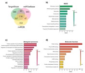 miR-218-5p/RUNX2 Axis Positively Regulates Proliferation and Is Associated with Poor Prognosis in Cervical Cancer