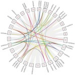 Overexpression of AcEXPA23 Promotes Lateral Root Development in Kiwifruit