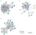 Expression of TXNRD1, HSPA4L and ATP1B1 Genes Associated with the Freezability of Boar Sperm