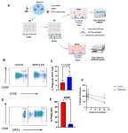 A Pan-RNase Inhibitor Enabling CRISPR-mRNA Platforms for Engineering of Primary Human Monocytes