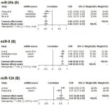 Circulating MicroRNAs and Extracellular Vesicle-Derived MicroRNAs as Predictors of Functional Recovery in Ischemic Stroke... 