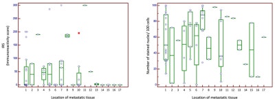 Differential Expression and Clinical Relevance of C-X-C Motif Chemokine Receptor 4 (CXCR4) in Renal Cell Carcinomas, Benign Renal... 
