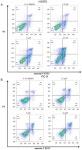 Identification of New EGFR Inhibitors by Structure-Based Virtual Screening and Biological Evaluation