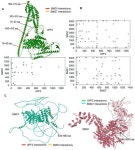 In Vitro Cross-Linking MS Reveals SMG1–UPF2–SMG7 Assembly as Molecular Partners within the NMD Surveillance