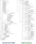 IJMS | Free Full-Text | In Silico Predicting the Presence of the S100B Motif in Edible Plants and Detecting Its Immunoreactive... 