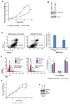 A Positive Feedback DNA-PK/MYT1L-CXCR1-ERK1/2 Proliferative Signaling Loop in Glioblastoma