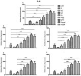Activation of the NALP3-CASP1-IL-1 β Inflammatory Pathway by Pesticide Exposure in Human Umbilical Vein Endothelial Cells
