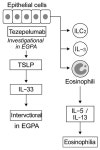Molecular Pathogenesis and Targeted Therapies in Eosinophilic Granulomatosis with Polyangiitis: An Updated Review