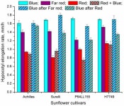 Monochromatic Light Interactions in the Early Hypocotyl Elongation of Sunflower (Helianthus annuus L.) Seedlings