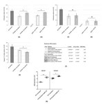 miR-221-3p Regulates VEGFR2 Expression in High-Risk Prostate Cancer and Represents an Escape Mechanism from Sunitinib In Vitro