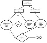 Post-Discectomy Infection: A Critical Review and Suggestion of a Management Algorithm