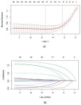 Construction and Validation of a 90-Day Mortality Risk Prediction Model Based on Interpretable Machine Learning for Acute... 
