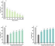 The Antioxidant Protective Effect of Iris-Squid-Derived Protein Hydrolysates (>10 kDa) in HSF Fibroblast Cells Induced by H2O2