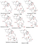 Stachybotrys chartarum—A Hidden Treasure: Secondary Metabolites, Bioactivities, and Biotechnological Relevance