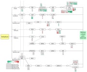 The Interactions between Two Fungal Endophytes Epicoccum layuense R2-21 and Alternaria alternata XHYN2 and Grapevines (Vitis... 